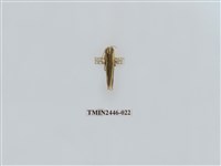 藏品(雙帶長苔蛾)的圖片